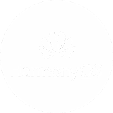 HarmonyOS
